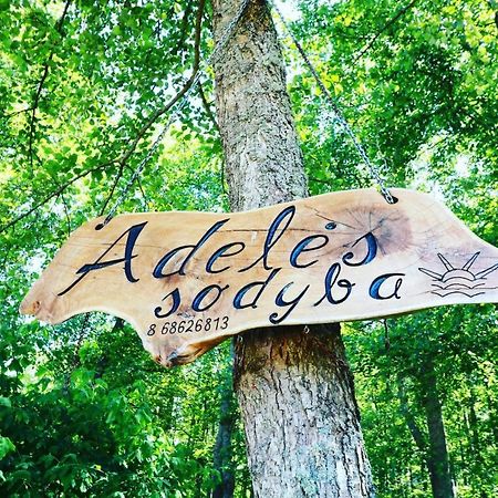 Namelis Nr 2 Adeles Sodyba Muize Exterior foto