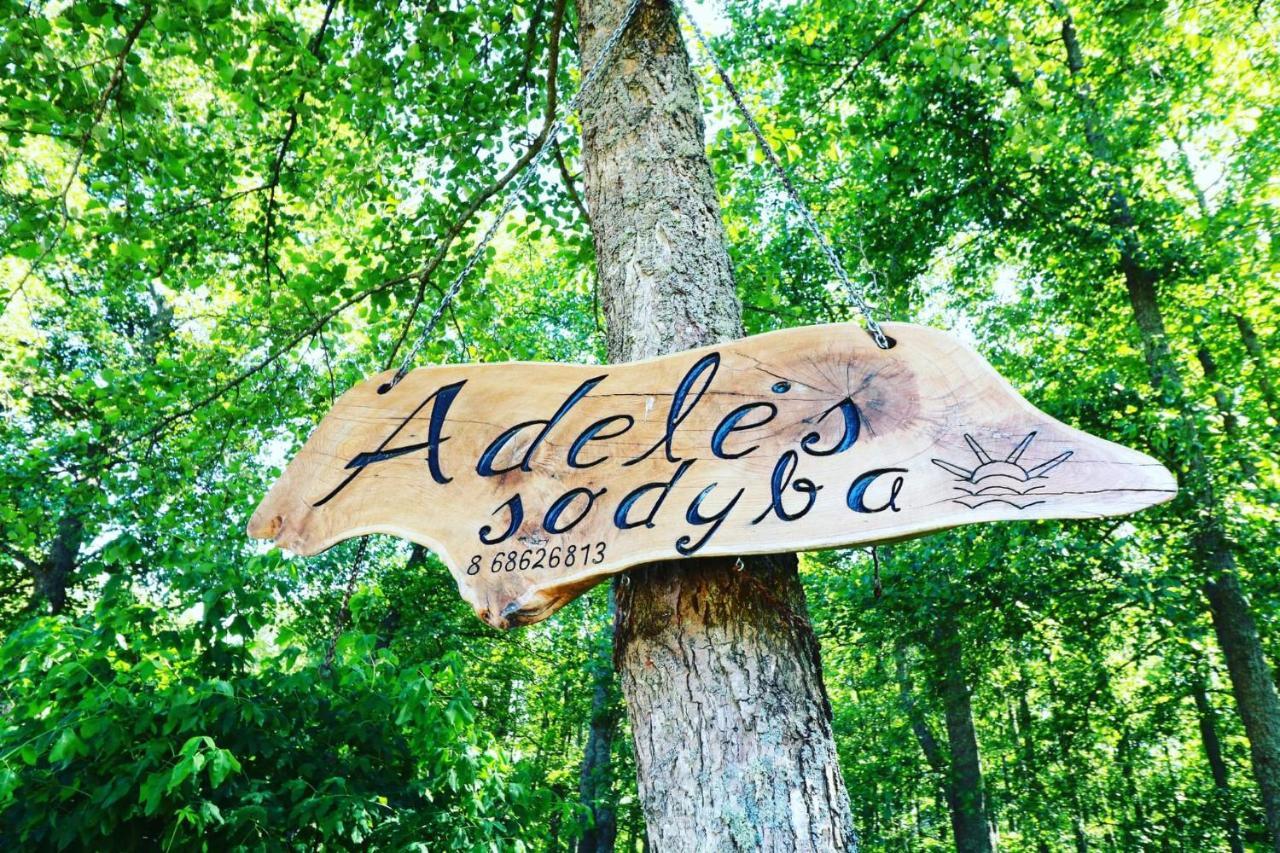 Namelis Nr 2 Adeles Sodyba Muize Exterior foto